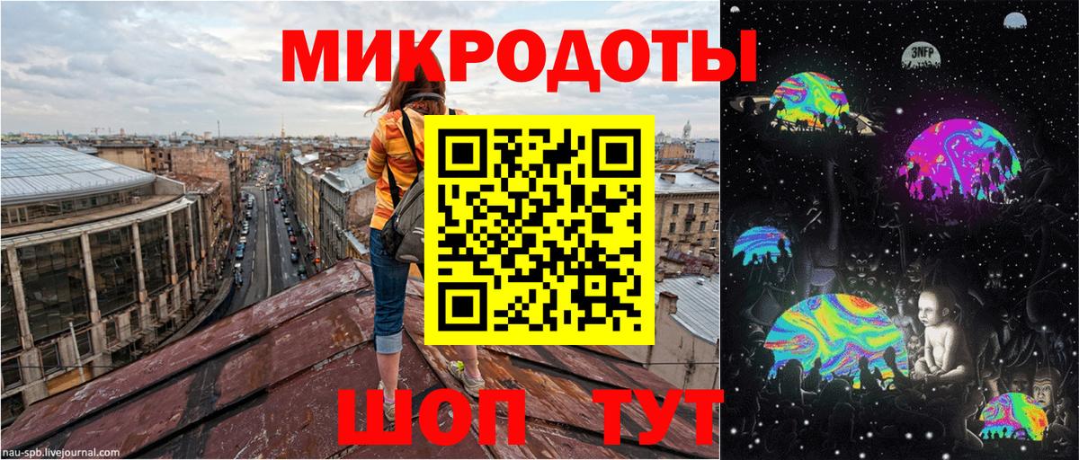Галлюциногенные грибы Psilocybine cubensis Череповец